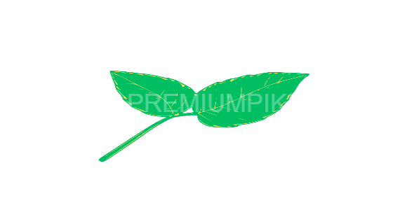 Leaf vector